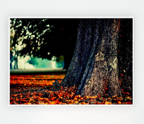 Tree Trunk In Autumn Print Poster Wall Art