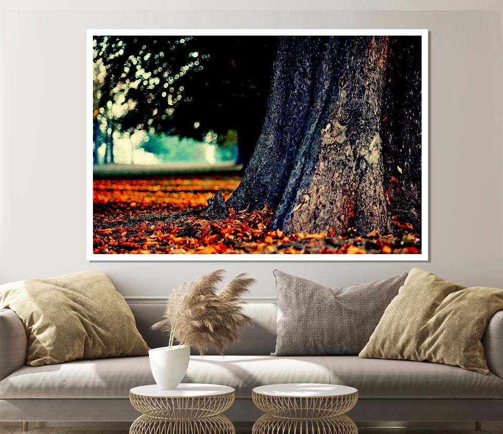 Tree Trunk In Autumn Print Poster Wall Art