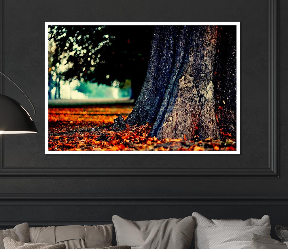 Tree Trunk In Autumn Print Poster Wall Art