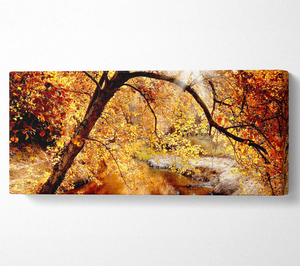 Creek In The Autumn Forest