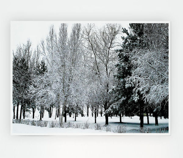 Winter In The Snow Forest Print Poster Wall Art