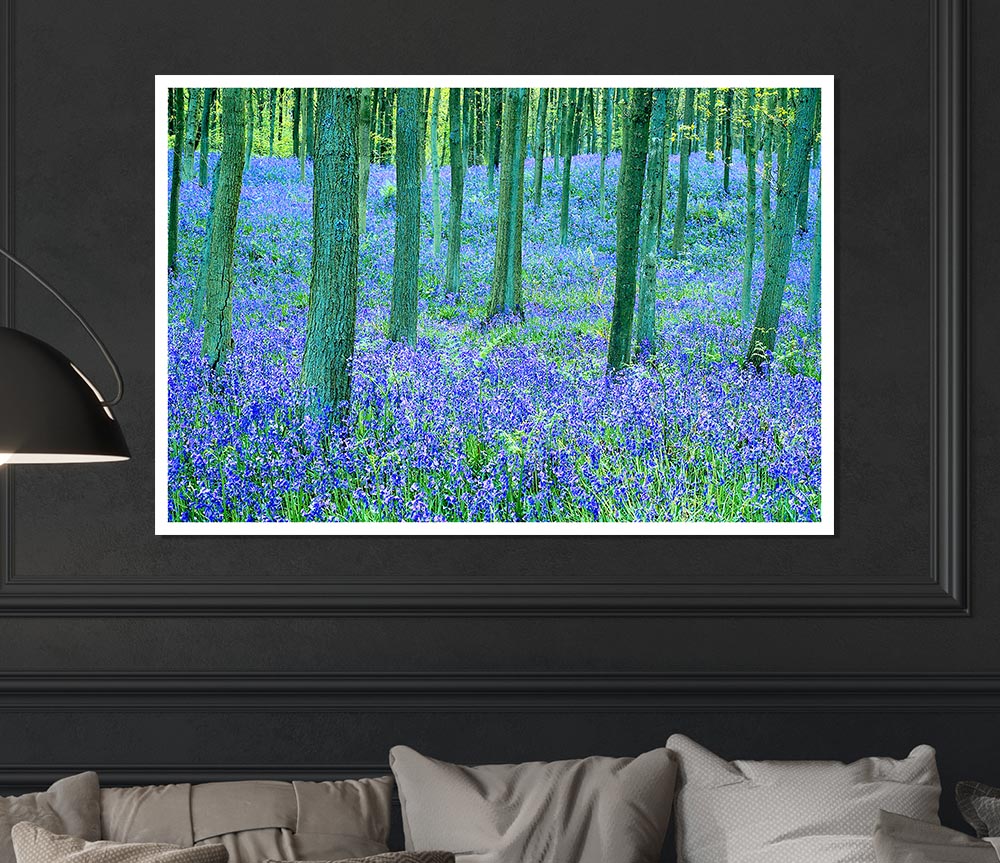 Bluebells In The Forest Print Poster Wall Art