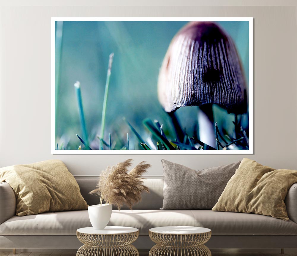 Wild Mushroom Print Poster Wall Art