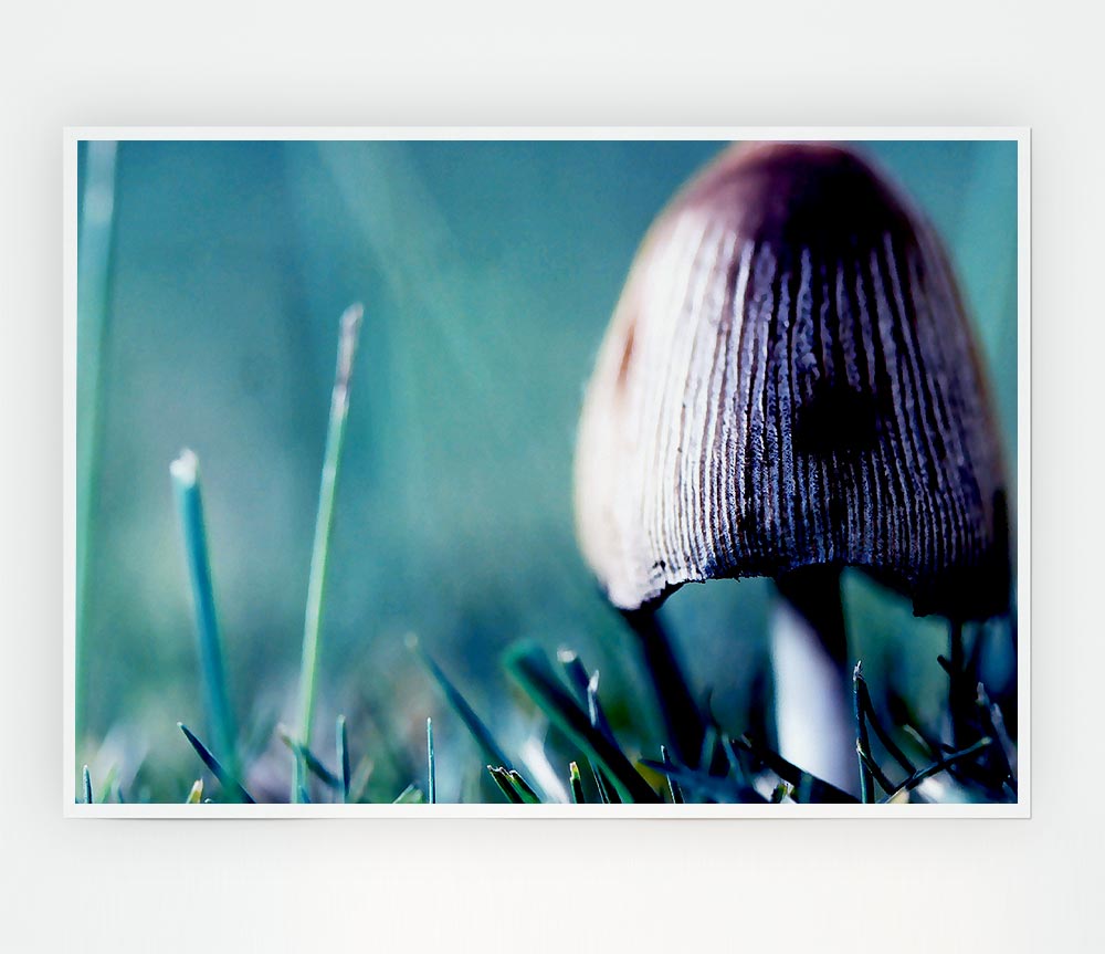 Wild Mushroom Print Poster Wall Art