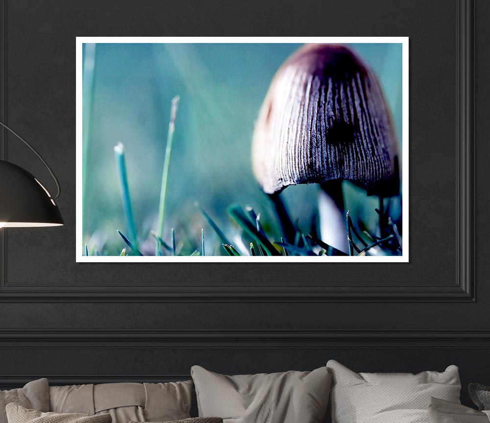 Wild Mushroom Print Poster Wall Art