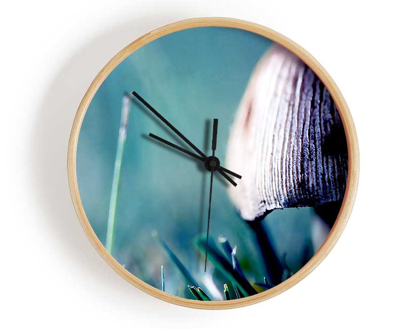 Wild Mushroom Clock - Wallart-Direct UK