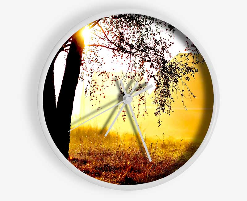 Sunlight Through The Tree Clock - Wallart-Direct UK