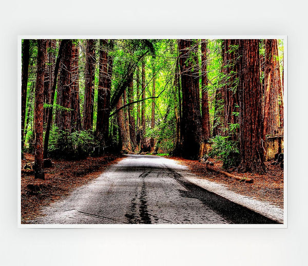 Green Forest Road Print Poster Wall Art