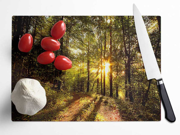 Forest In Late Afternoon Glass Chopping Board