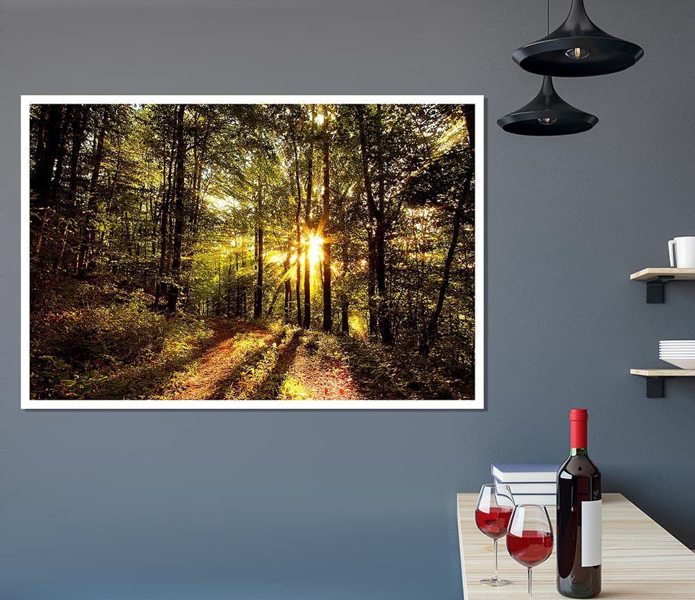 Forest In Late Afternoon Print Poster Wall Art