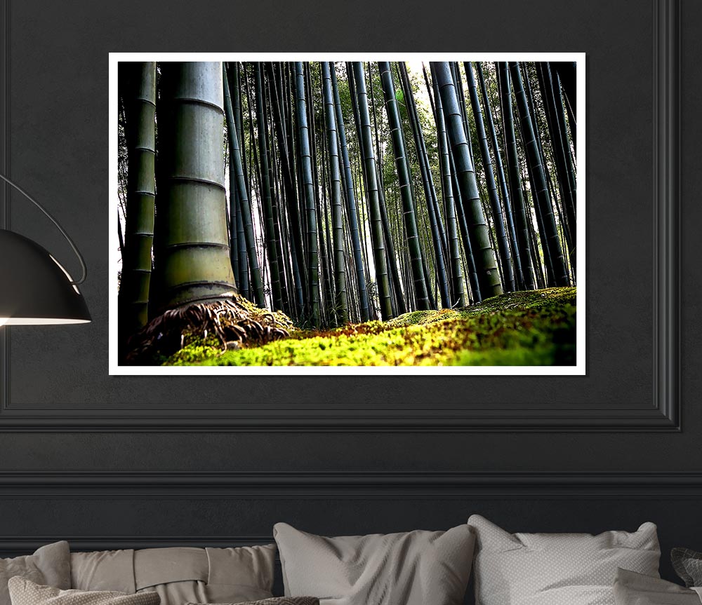 Huge Bamboo Forest Print Poster Wall Art