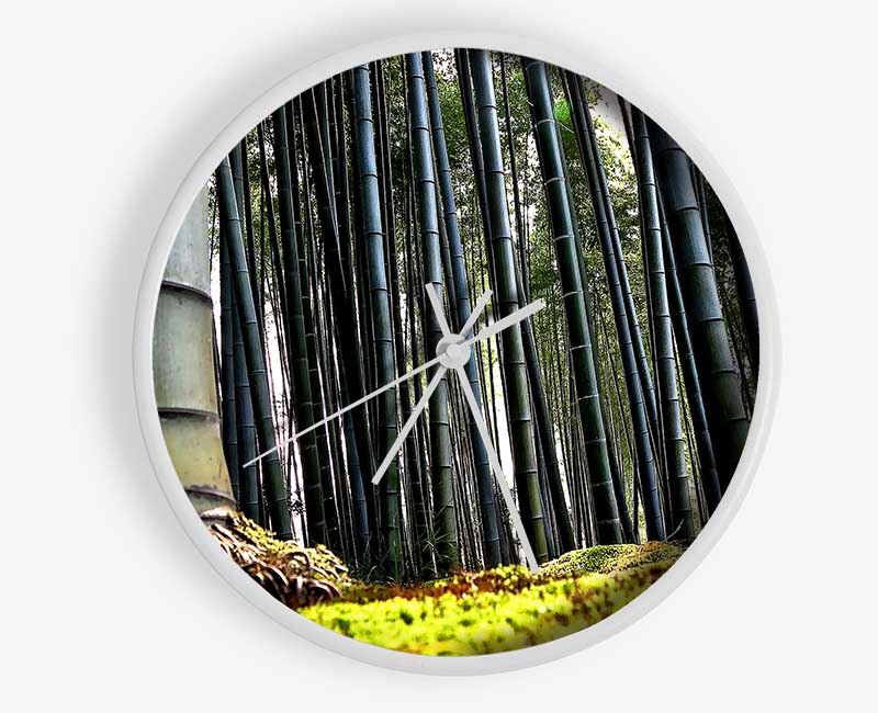 Huge Bamboo Forest Clock - Wallart-Direct UK