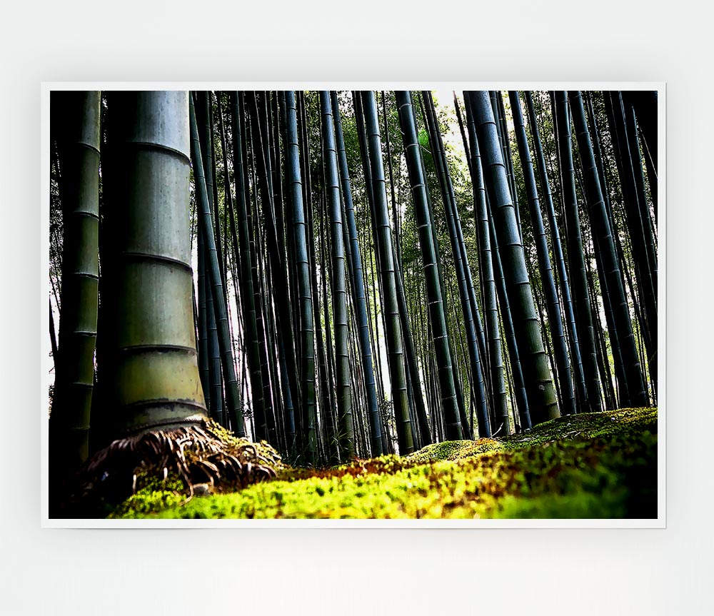 Huge Bamboo Forest Print Poster Wall Art