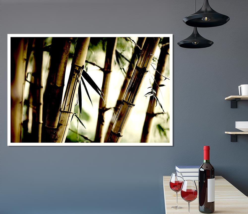 Bamboo Stalks Print Poster Wall Art