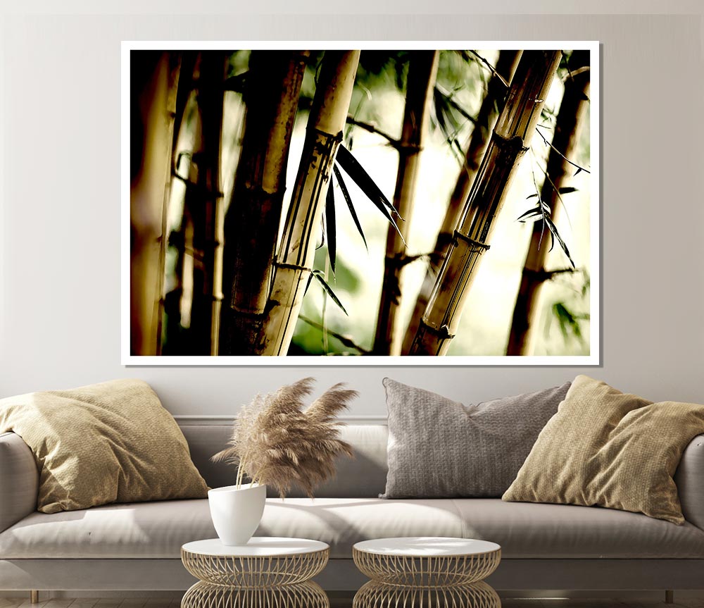 Bamboo Stalks Print Poster Wall Art