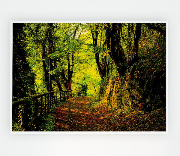 Forest Walking Path Print Poster Wall Art