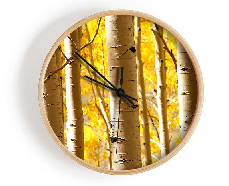 Birch Trees Clock - Wallart-Direct UK