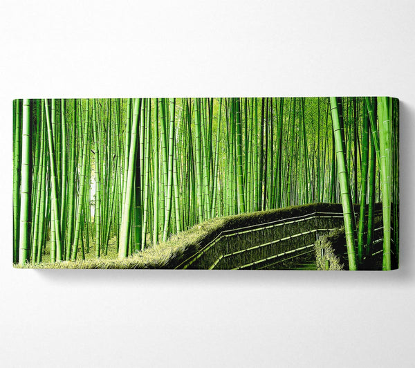 Bamboo Forest