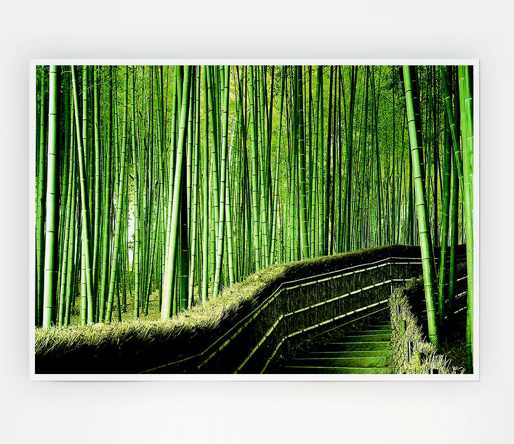 Bamboo Forest Print Poster Wall Art