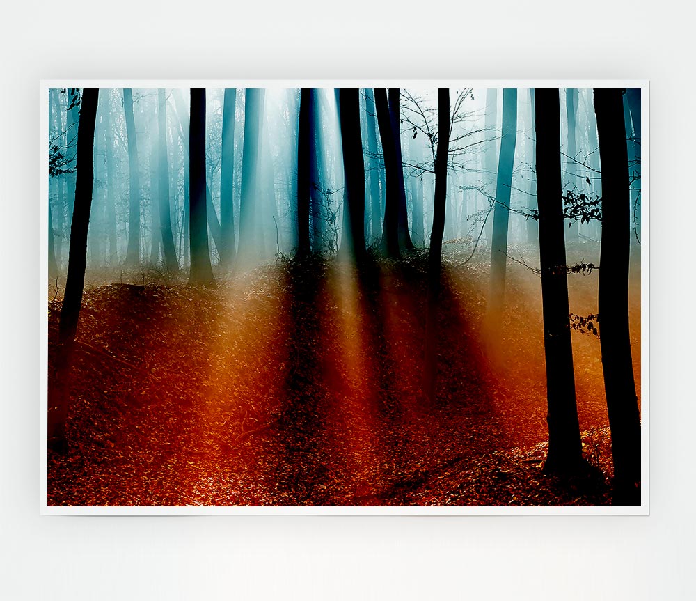 Autumn Forest Blue Sun Beams Print Poster Wall Art