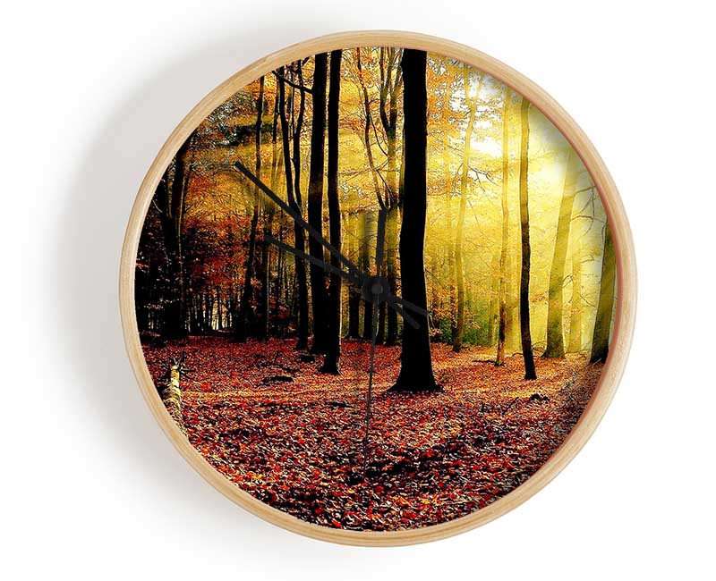 Sunlight Through The Trees In The Forest Clock - Wallart-Direct UK