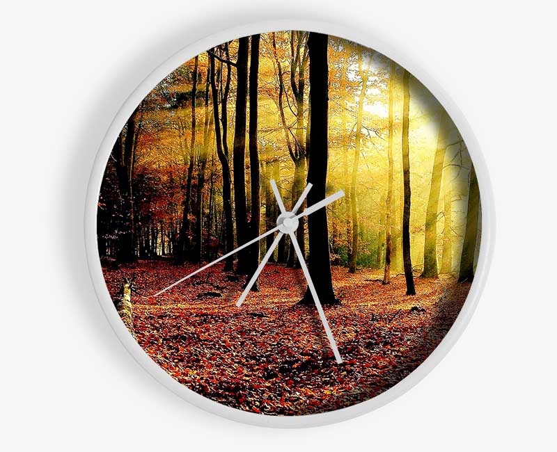 Sunlight Through The Trees In The Forest Clock - Wallart-Direct UK