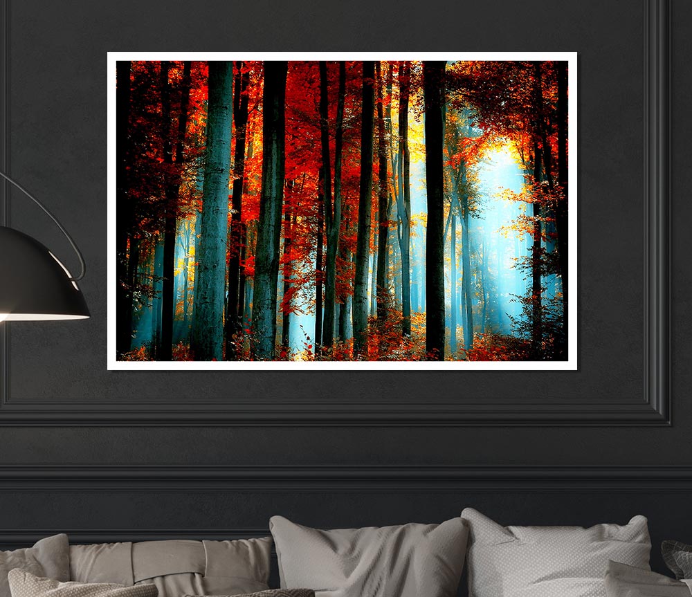 Blue Light Through The Orange Woodland Print Poster Wall Art