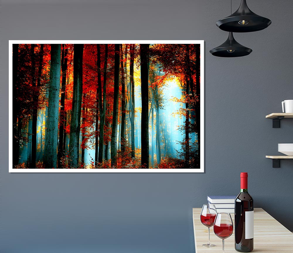 Blue Light Through The Orange Woodland Print Poster Wall Art