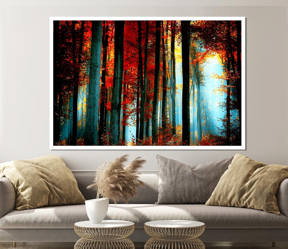 Blue Light Through The Orange Woodland Print Poster Wall Art