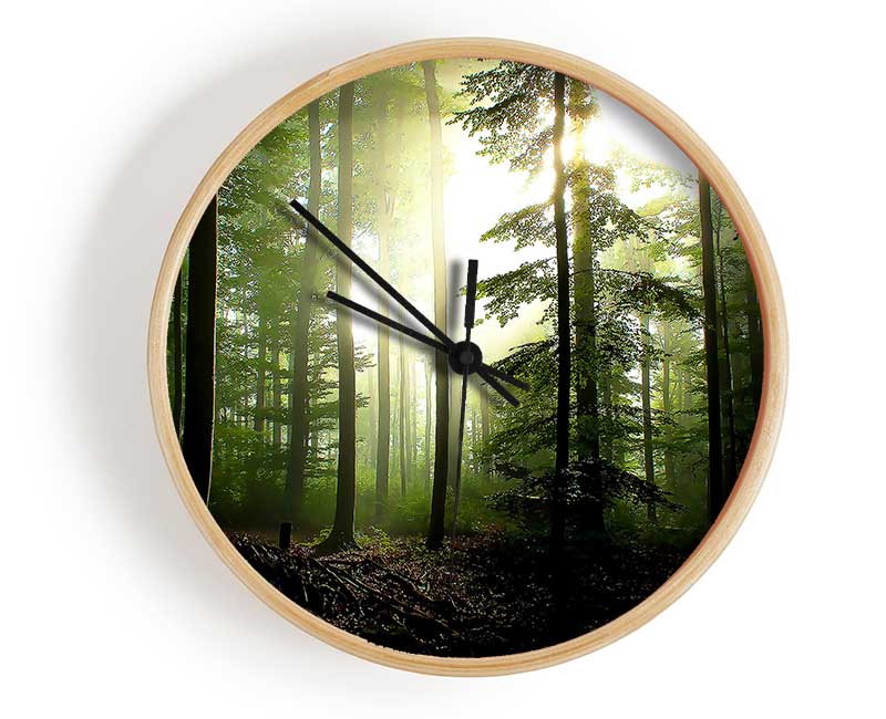 Coniferous Forest Clock - Wallart-Direct UK