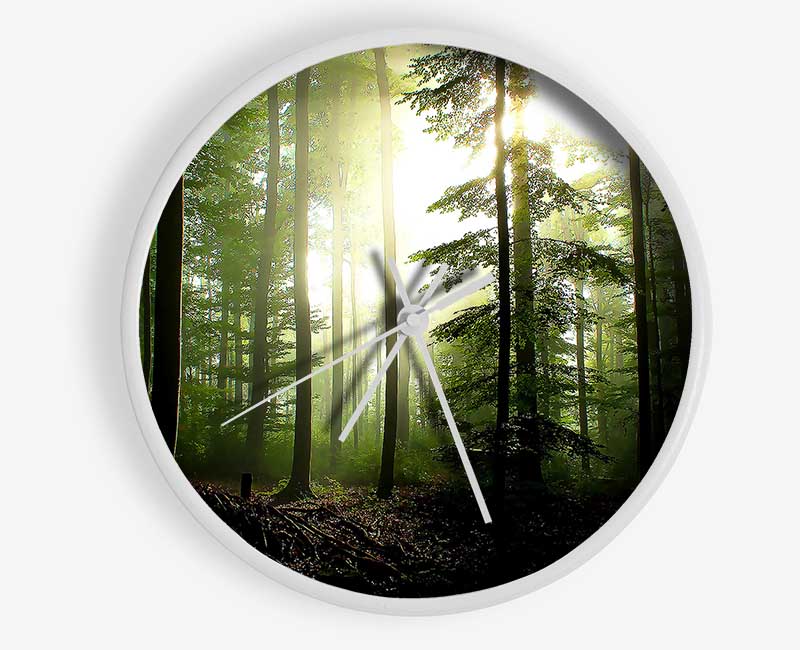 Coniferous Forest Clock - Wallart-Direct UK