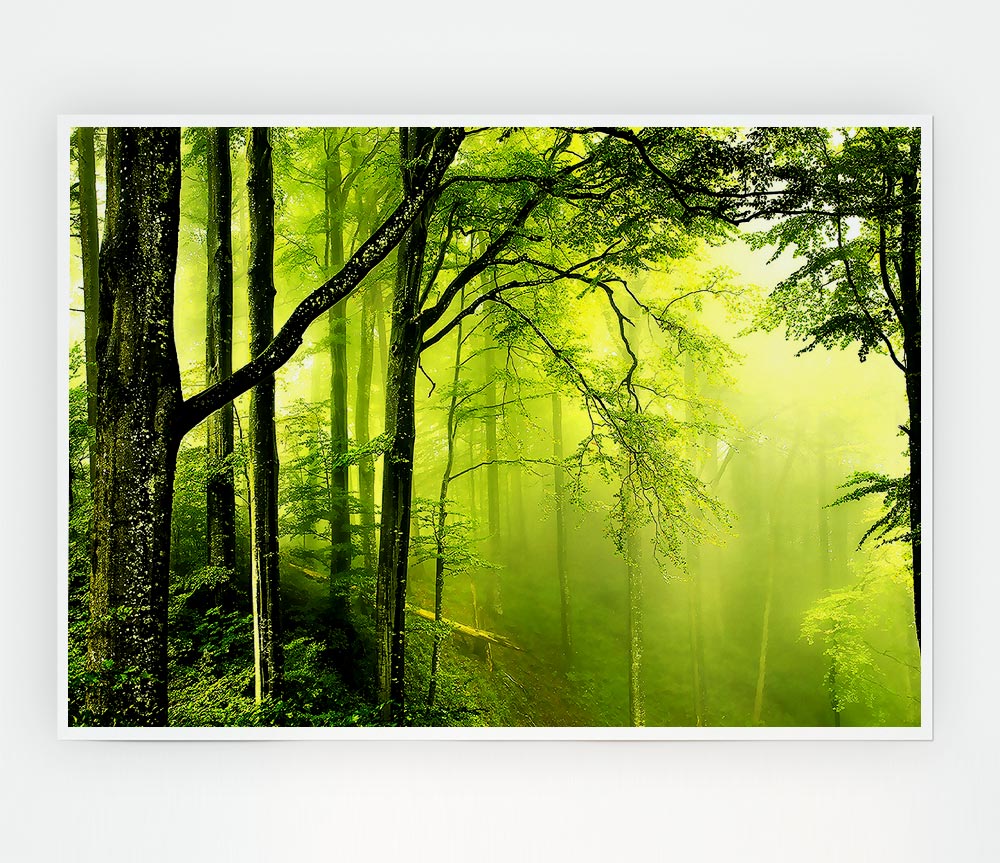 Beautiful Green Forest Print Poster Wall Art