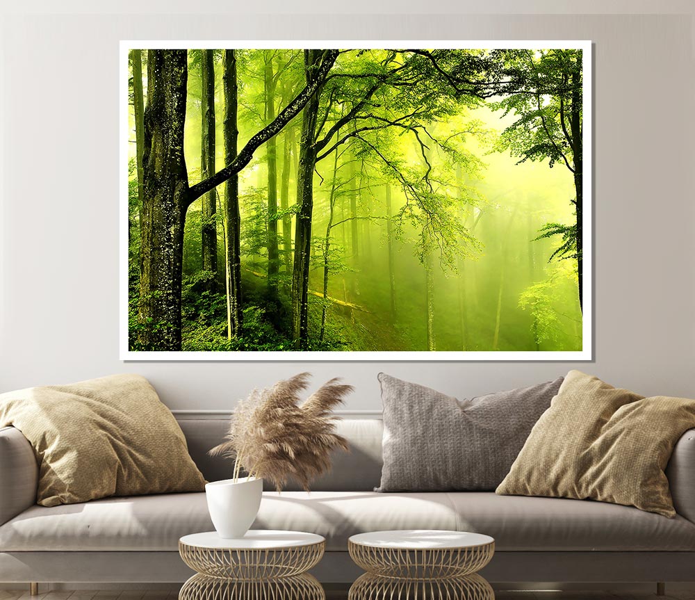 Beautiful Green Forest Print Poster Wall Art