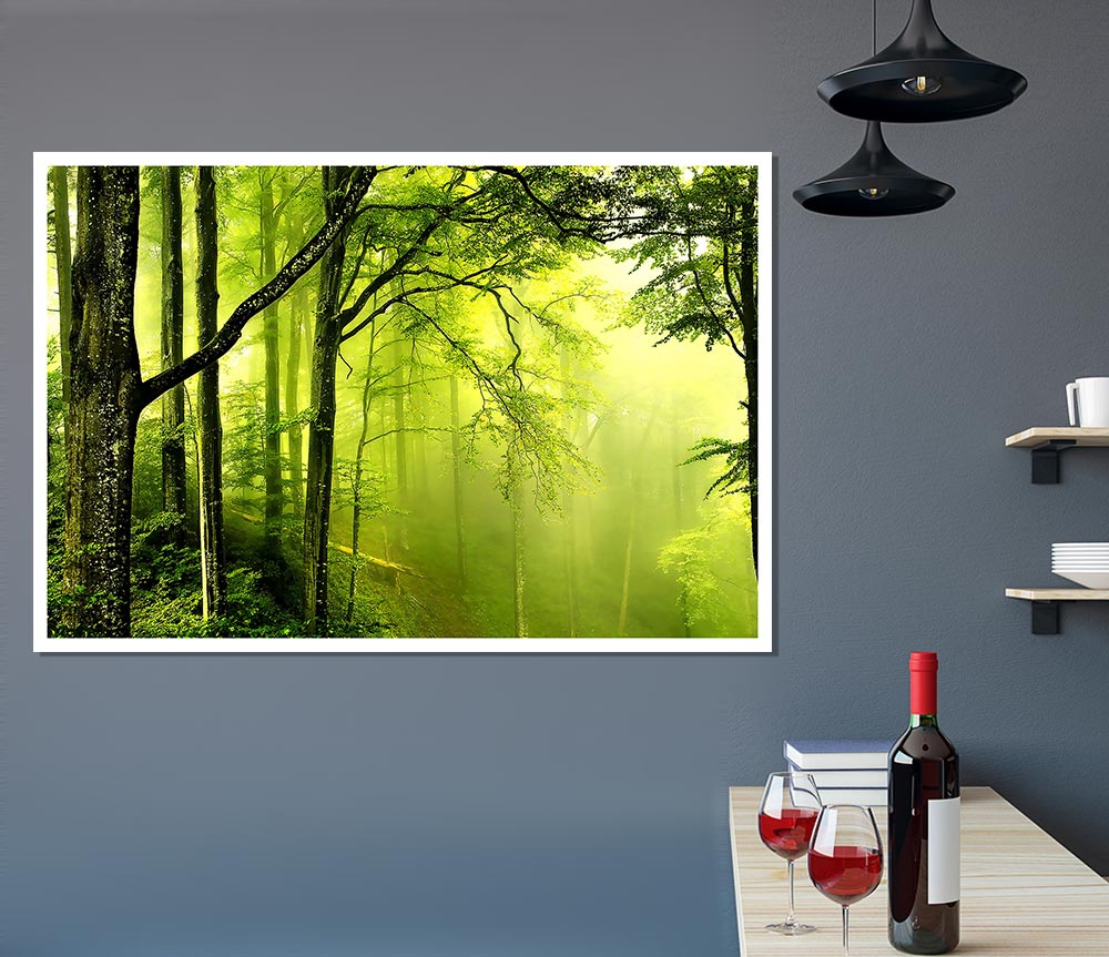 Beautiful Green Forest Print Poster Wall Art