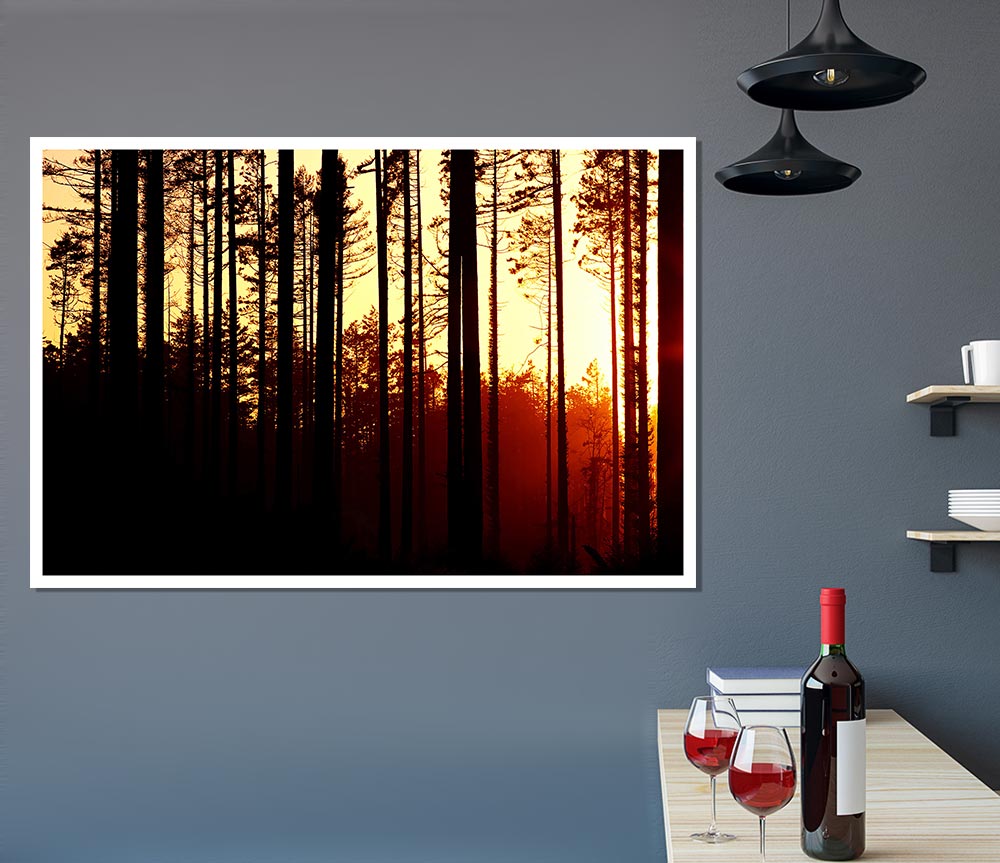 Forest Sunset Print Poster Wall Art