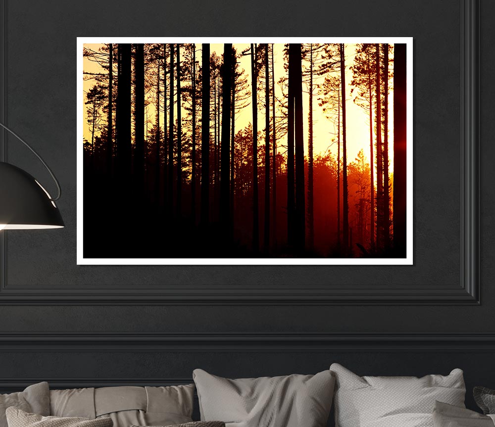 Forest Sunset Print Poster Wall Art