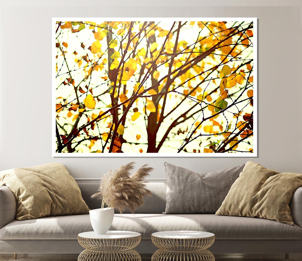 Light In The Forest Print Poster Wall Art