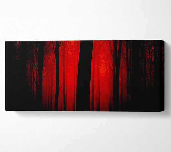 Blood Red Forest