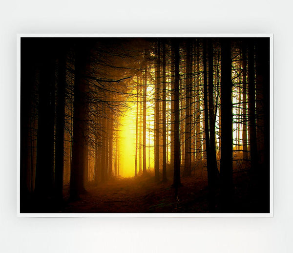 Golden Forest Light Print Poster Wall Art