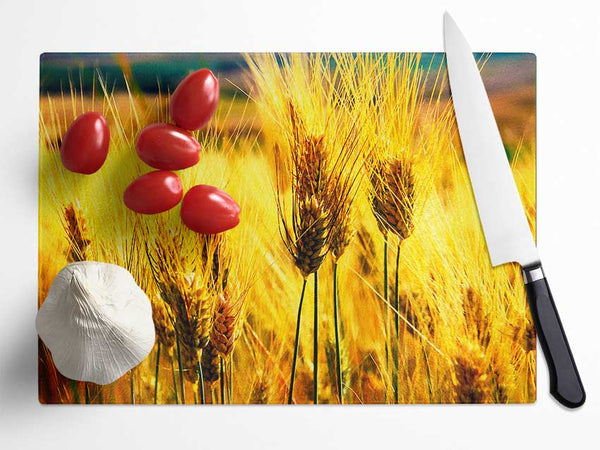 Wheat Field Near The Forest Glass Chopping Board