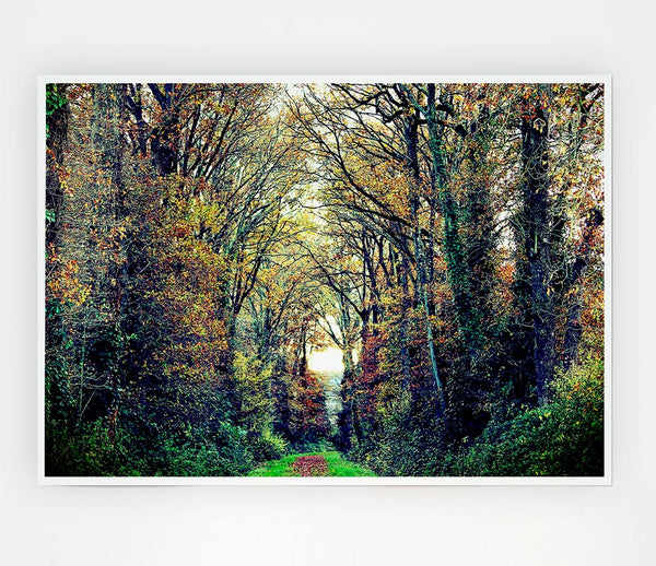 Just Trees Print Poster Wall Art