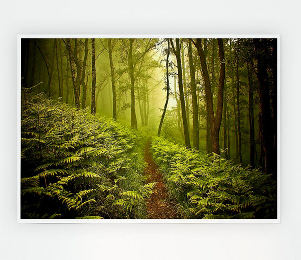 Green Forest Path Print Poster Wall Art