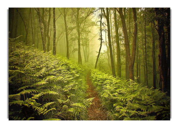 Waldweg