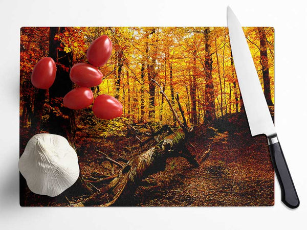 Autumn Forest Seat Glass Chopping Board