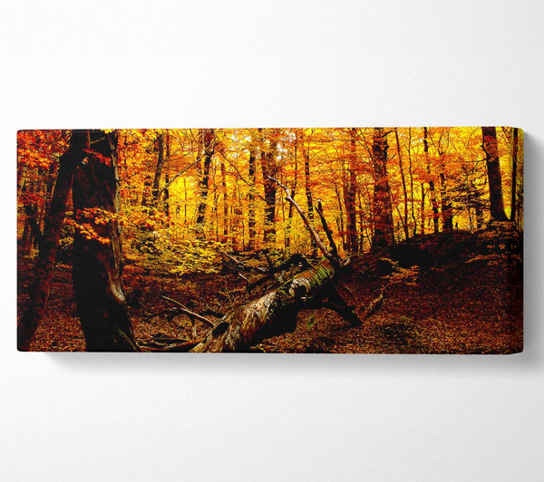 Autumn Forest Seat