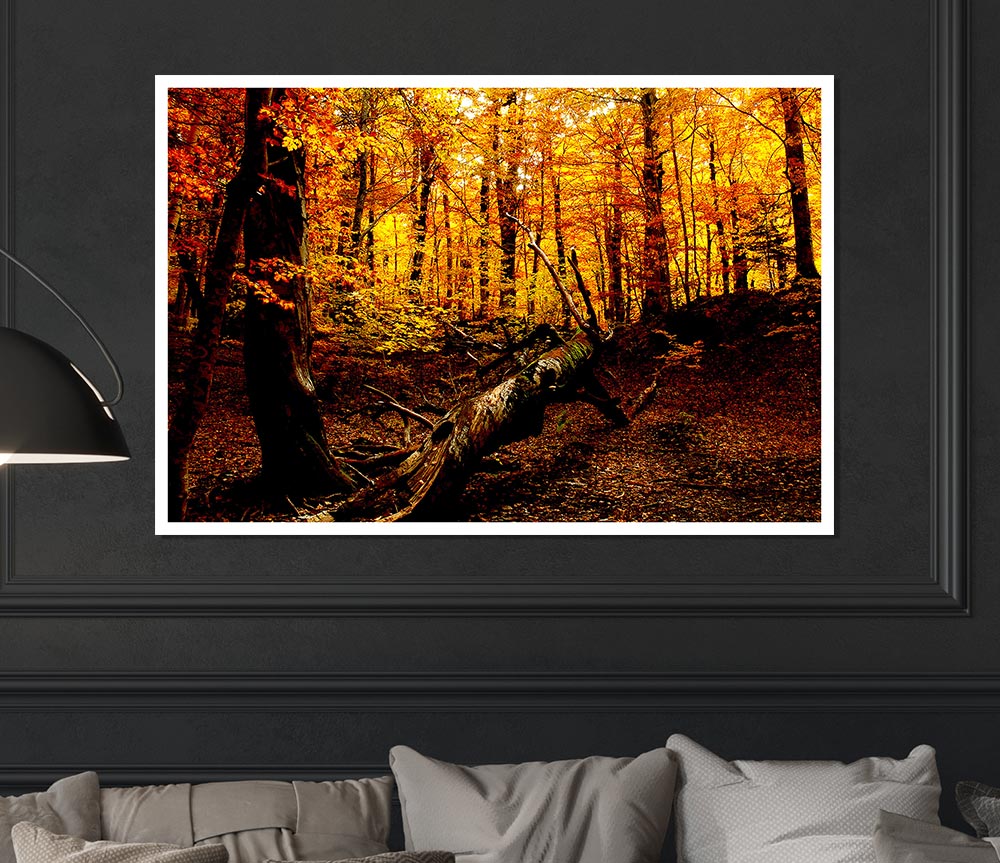 Autumn Forest Seat Print Poster Wall Art