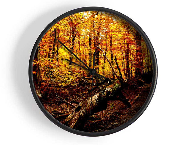 Autumn Forest Seat Clock - Wallart-Direct UK