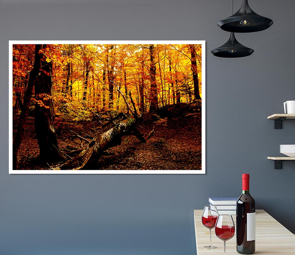 Autumn Forest Seat Print Poster Wall Art