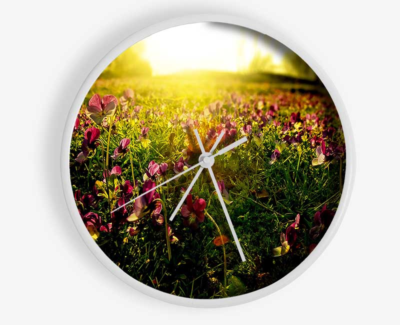 Sunlight Through Pansies Clock - Wallart-Direct UK