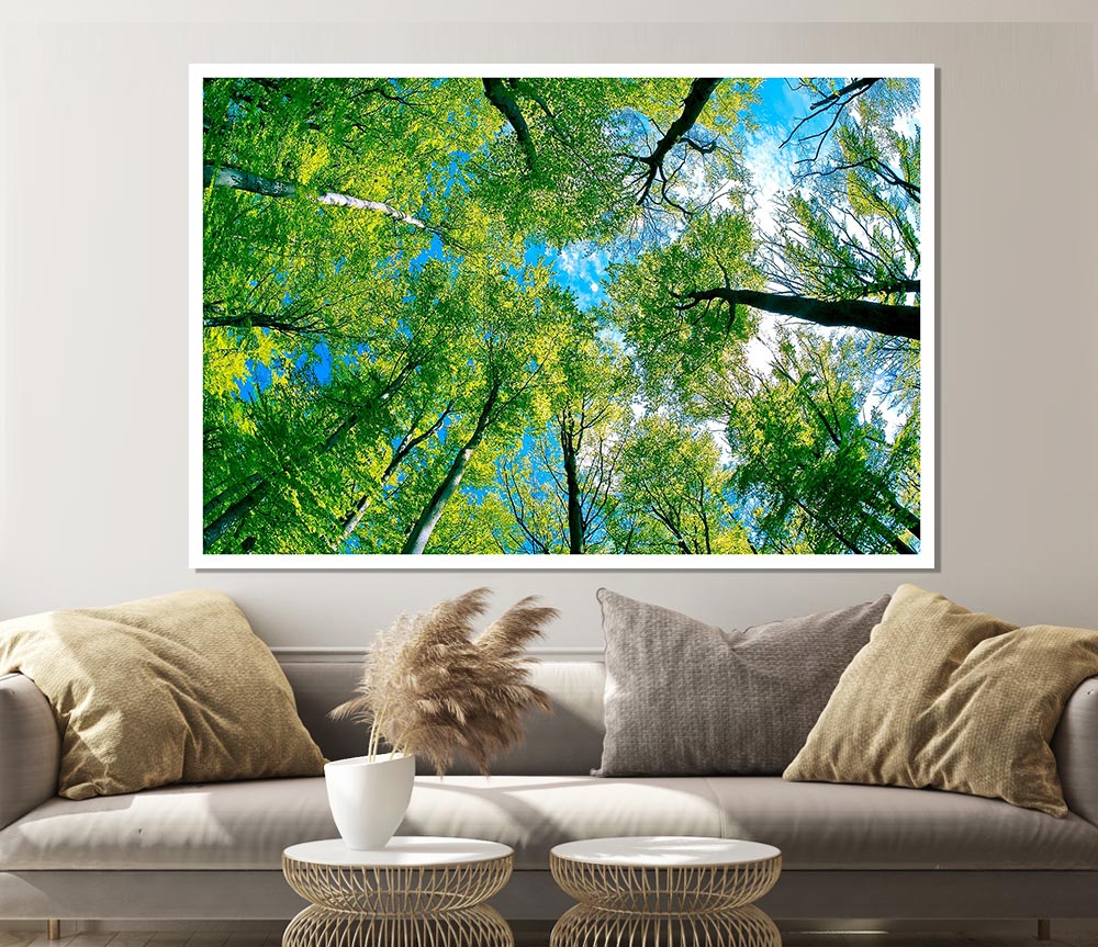 Forest Sky View Print Poster Wall Art